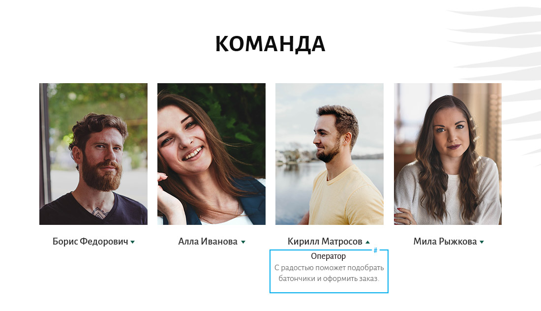 Пояснения к тз